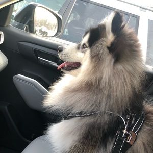 Meet your Posher, Deborah